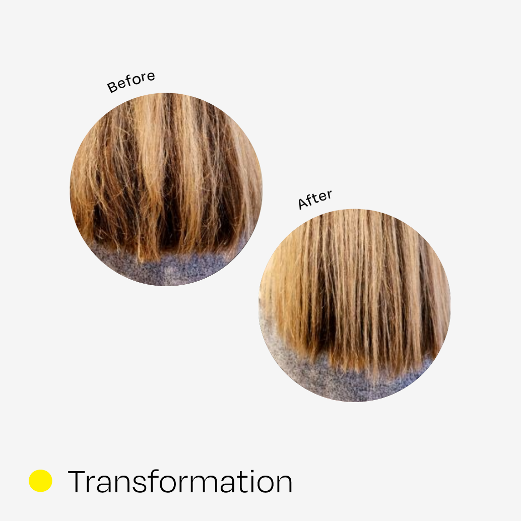 Hair Treatment Oil REVIVE